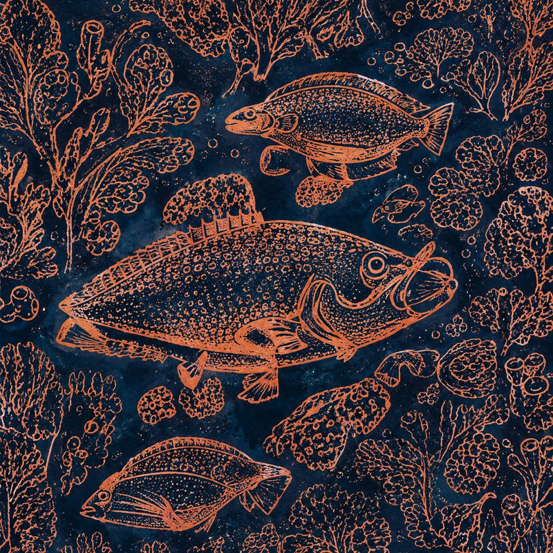 Coral Trout