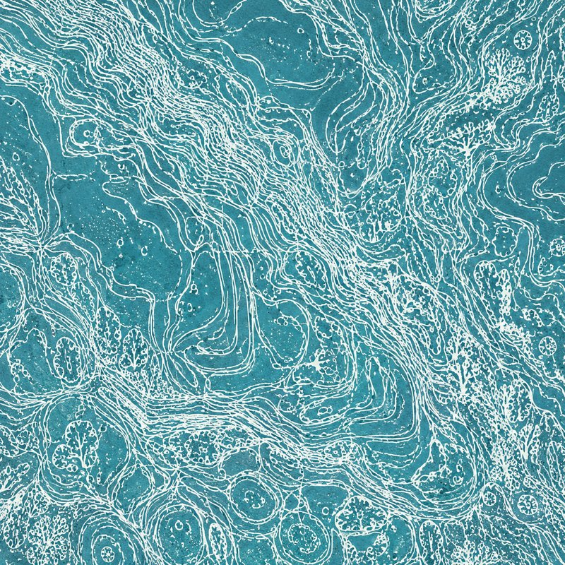 Reef Topography